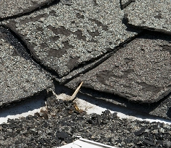 Roof with granule loss